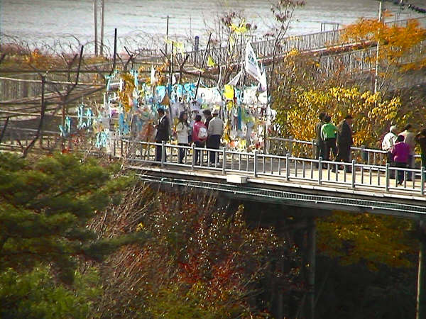 Hanging Colored Prayer Cloths At DMZ